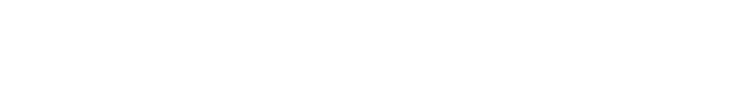 Mega Finaet